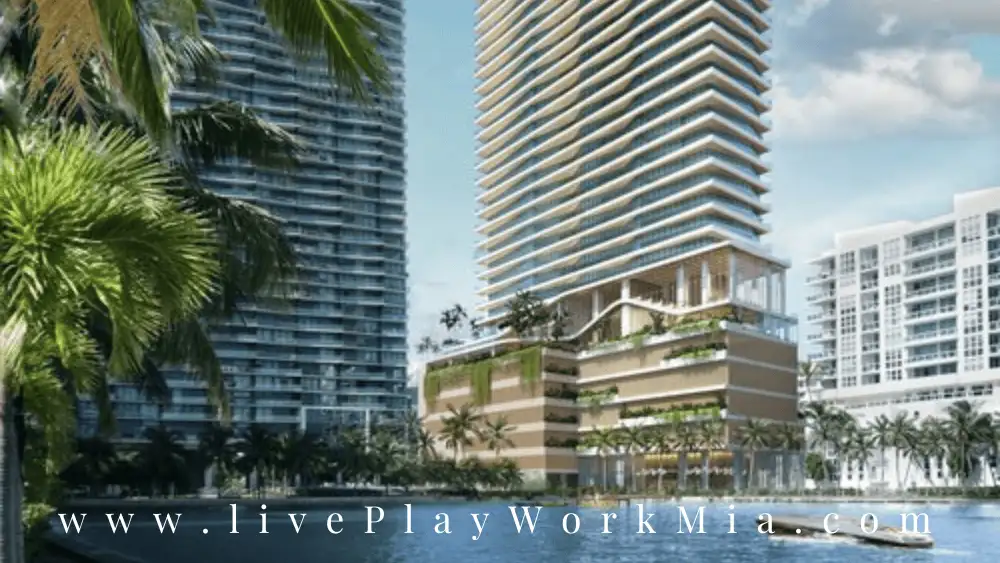 COVE-MIAMI_Hero.original
